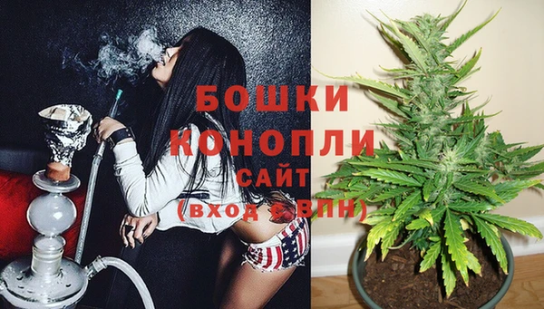 мдпв Богородицк
