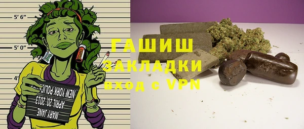мдпв Богородицк