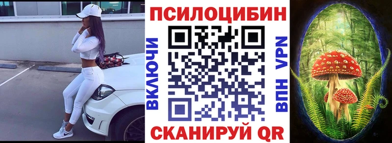 Псилоцибиновые грибы Psilocybe  Можайск 